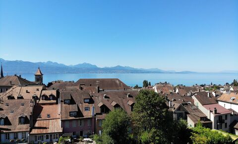 SUBLIME ATTIQUE TERRASSE PANORAMA LAC !
