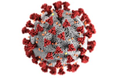 Effects of the pandemic on the housing market