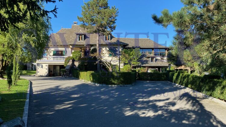 SAVINTER ANNECY - 15 MIN FROM ANNECY - EXCEPTIONAL PROPERTY