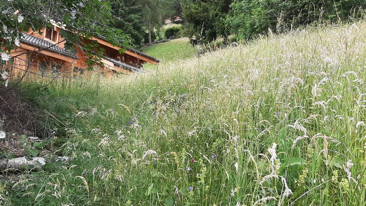 Bauland CH-1996 Saclentse (Nendaz)