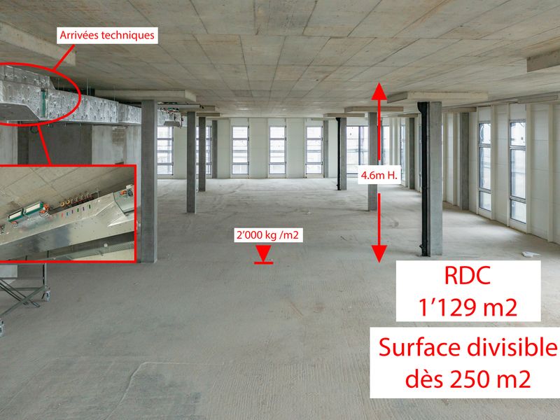 For rent beautiful surface of 1129 m² divisible on the ground floor