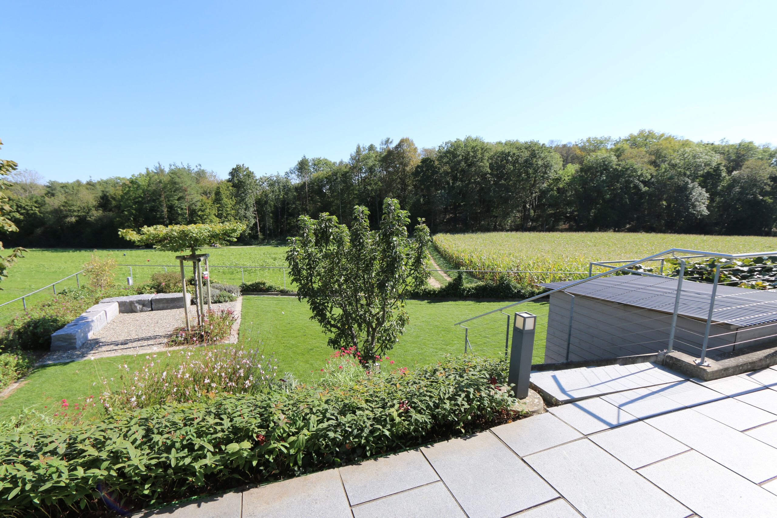 Ein Platz an der Sonne!