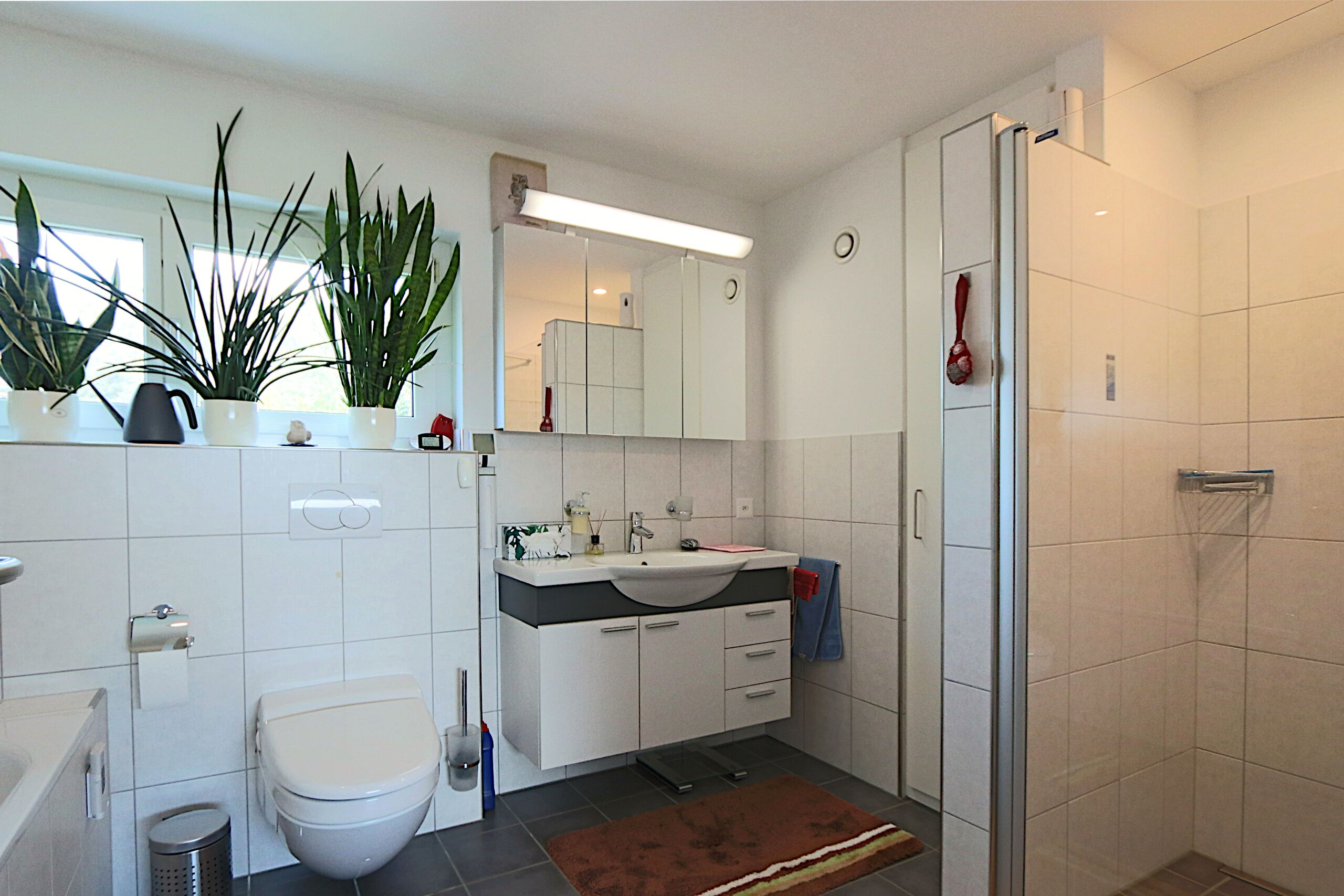 Nebenhaus Badezimmer (OG)