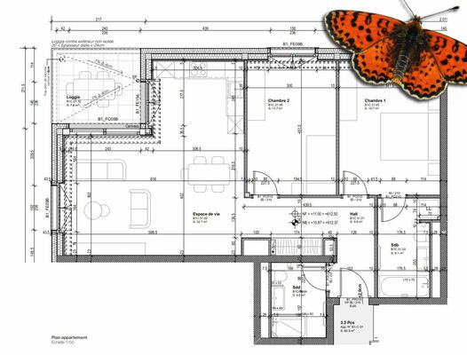 Plan C-31