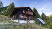 Chalet CH-1884 Villars-sur-Ollon