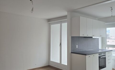 Charmant appartement rénové de 2 pièces