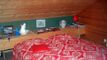 Chalet CH-1993 Veysonnaz