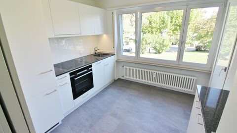Storey apartment CH-4123 Allschwil
