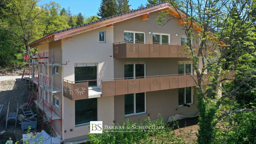 Wohnung CH-1974 Arbaz