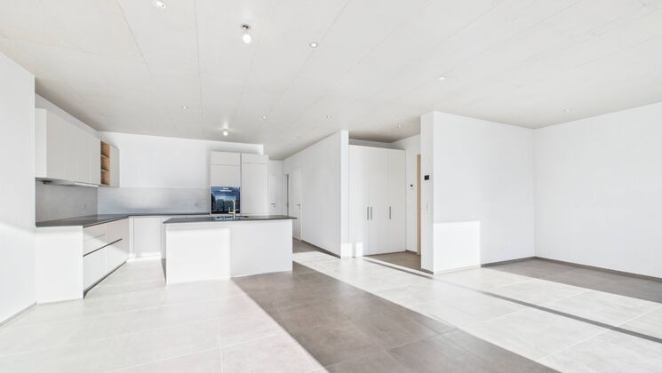 A vendre!!! 2 Magnifiques Attiques de 3.5 pièces en PPE.