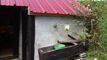 Vendu : Chalet authentique sur la route du Santesch (Valais)