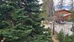 Condominium apartment CH-3963 Crans-Montana, Tsarbouye 25