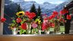 Trop tard aux Diablerets : appartement dans l'Eurotel