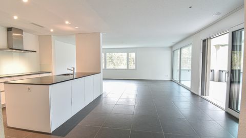 Moderne 4.5 Zimmer Wohnung in MINERGIE-Standard an ruhiger Lage
