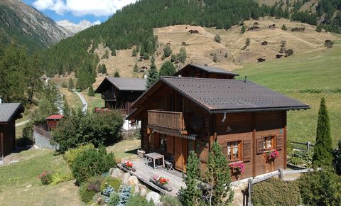 3 ½ Zi-Chalet ‘Les Marmottes’ mit Panoramasicht