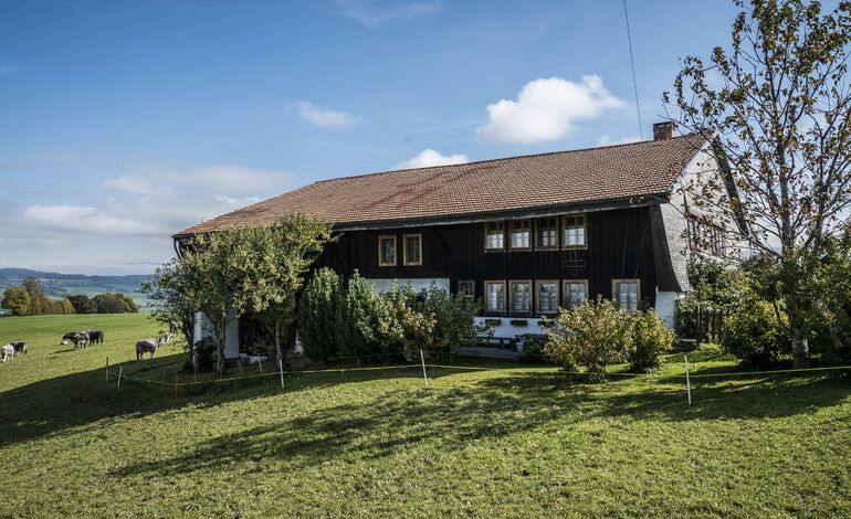 Belle ferme fribourgeoise 
située dans un écrin de verdure