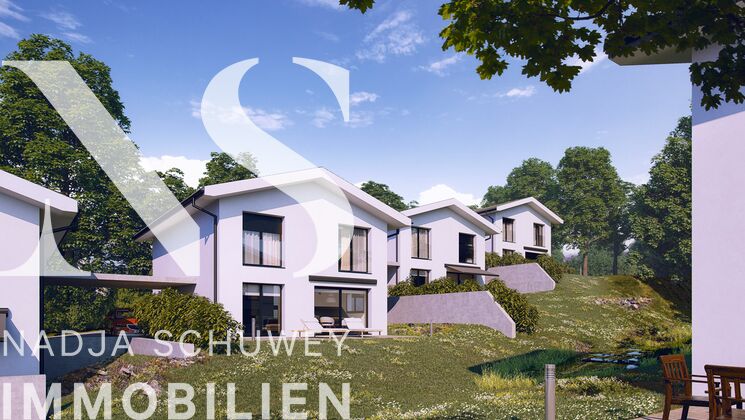 Neubau von modernen Einfamilienhäusern