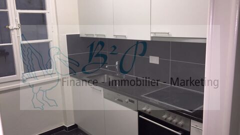 Beautiful 3.5 room apartment with large terrace and new kitchen