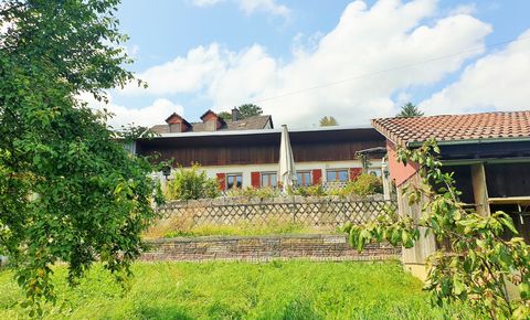 Rental house composed of 2 apartments - plot of 798 m2