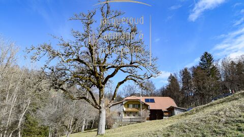 Single family house CH-3158 Guggisberg