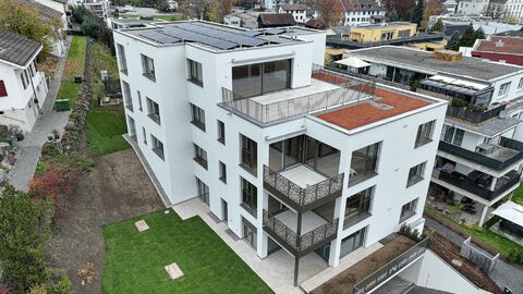 Modern & energieeffizient – 4.5-Zimmer-Attikawohnung mit Panoramablick