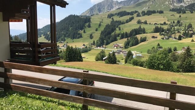 Vendu Appartement duplex au Col des Mosses avec garage box !