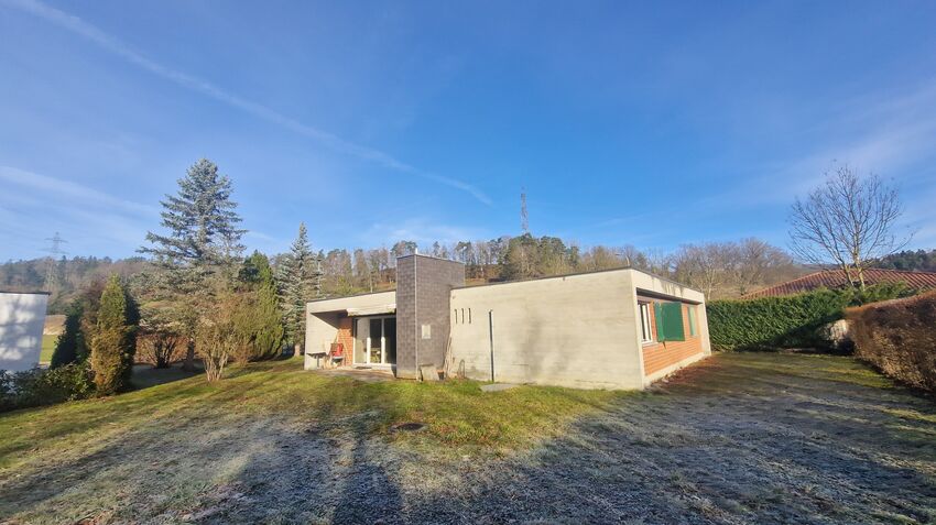 One story house