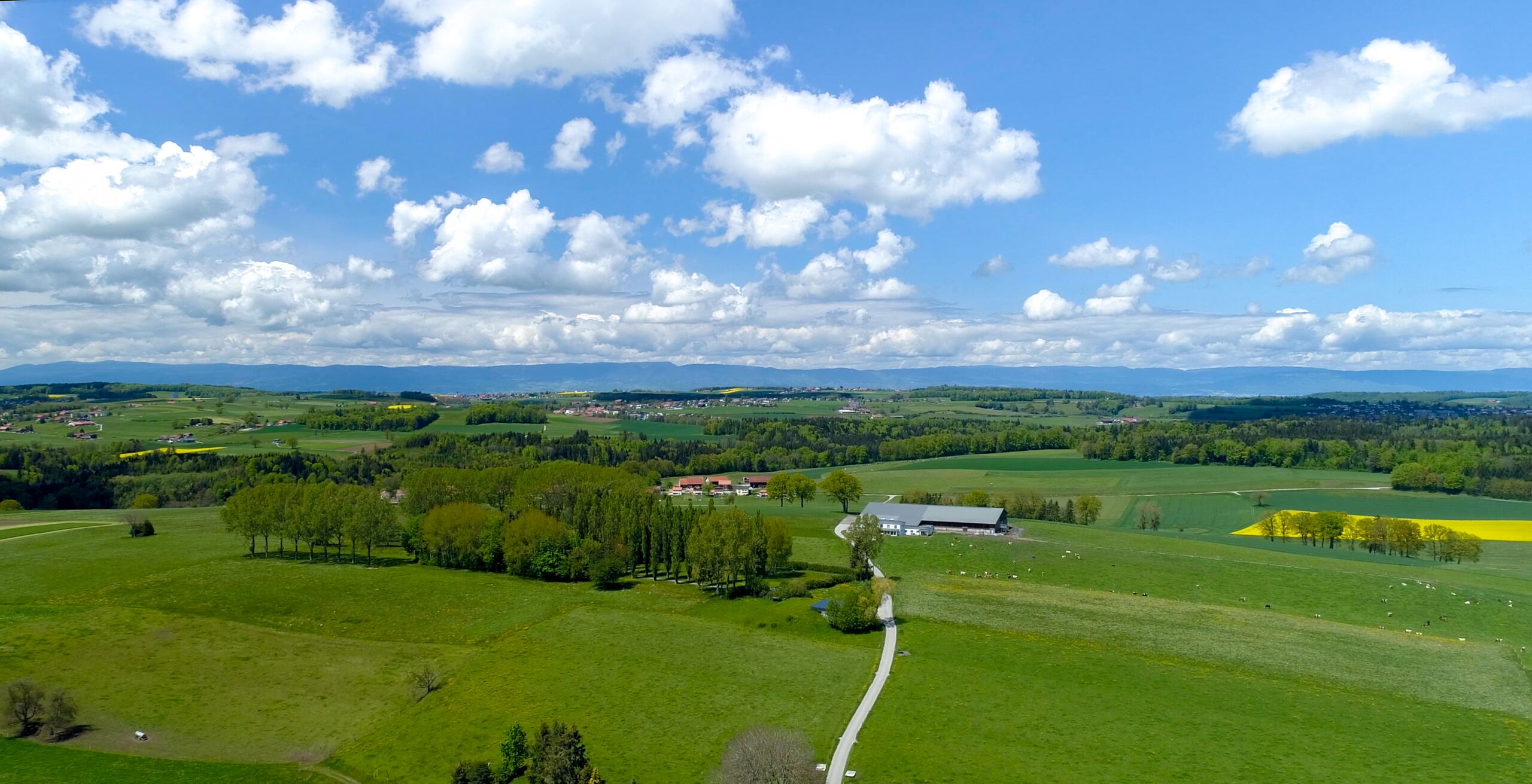 Projet immobilier à Farvagny, appartements à vendre
