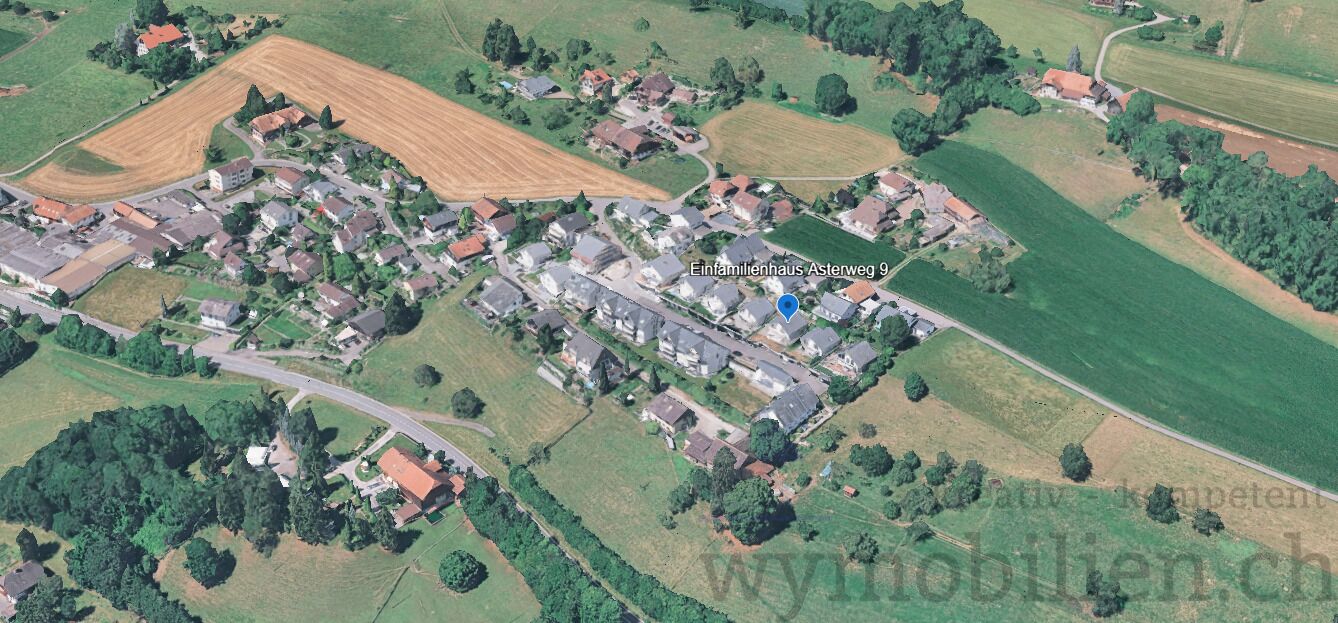 Das schöne und ruhige Wohnquartier (kein Durchgangsverkehr)