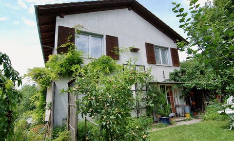 6.5 Zi.-Einfamilienhaus mit charmantem Garten an Hanglage