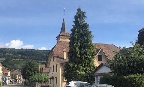 MAISON VILLAGEOISE ET TERRAIN CONSTRUCTIBLE