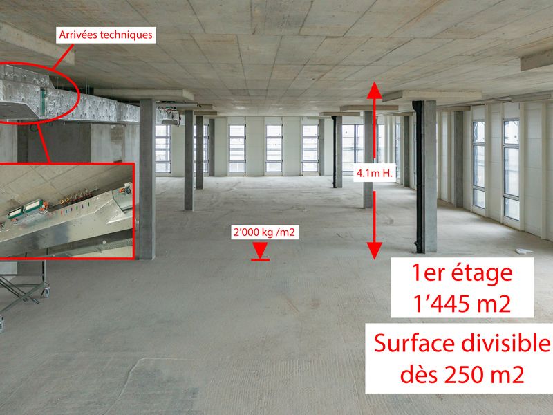 For rent beautiful surface of 1445 m² on the 1st floor divisible from 250 m²