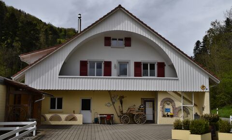 Renovated farm CH-4242 Laufen