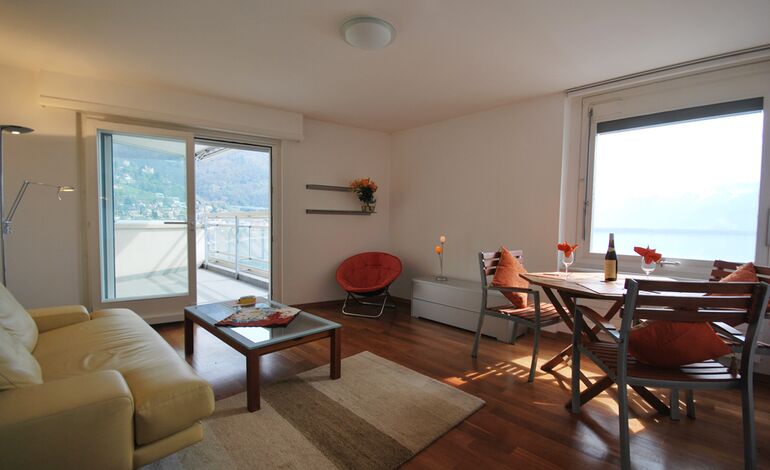 Beau 3.5 pièces 
Au cœur de la ville
Vue surplombant le lac