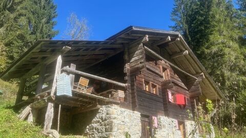 Réservé ! Le vrai petit nid au coeur de la nature !