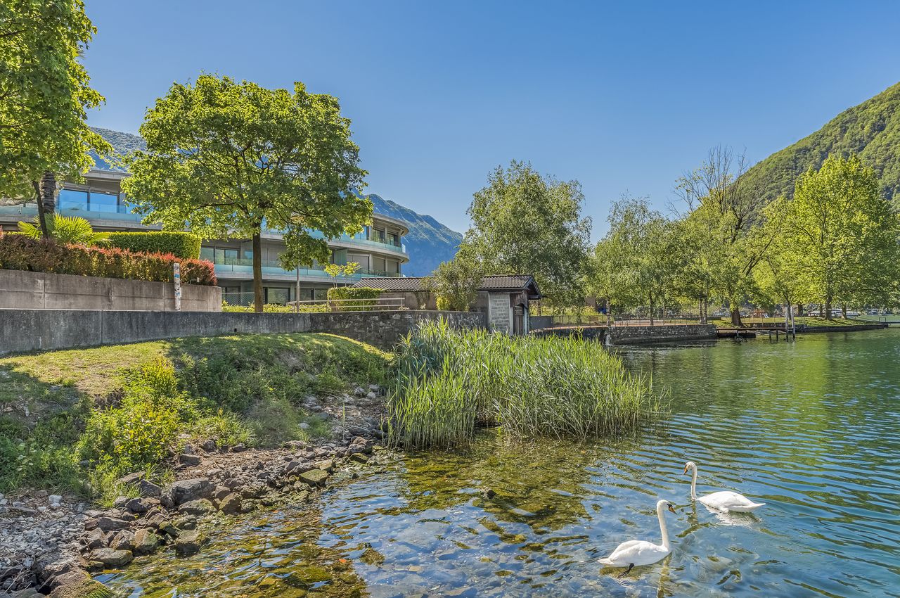 Residenza Rivalago  - Attico 6.5 locali con Vista Lago di Lugano