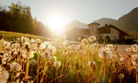 Die Perle im Albulatal
