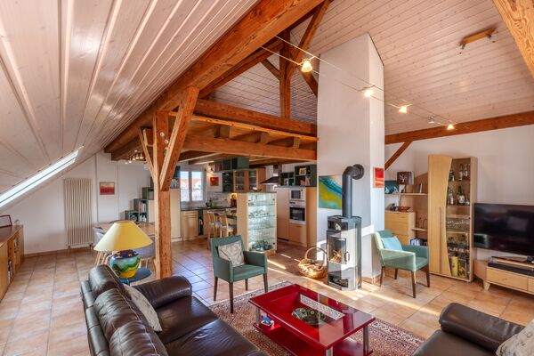 Pièce de vie - appartement 5.5 pièces