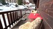 Splendide appartement de haut standing de 3.5 pièces à Grimentz