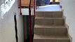 Chaleureux appartement de 4.5 pces en duplex sous charpente