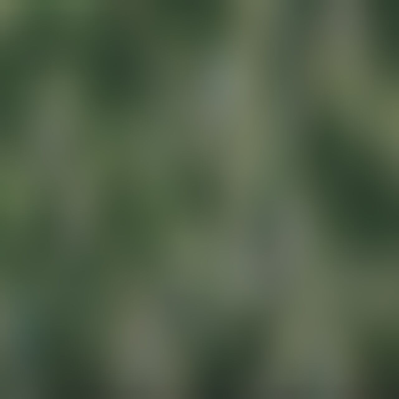 Ein verschwommenes Bild