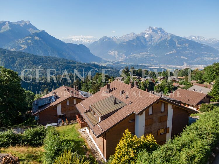 Image for Matin Calme A6