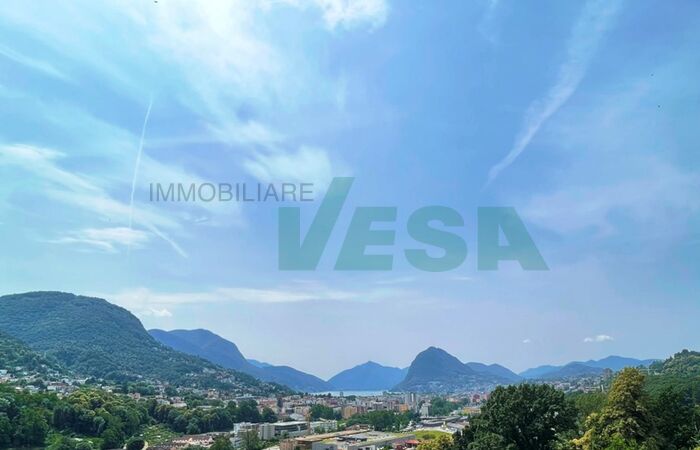 Cozy two-family house with wonderful view on the lake and on Lugano