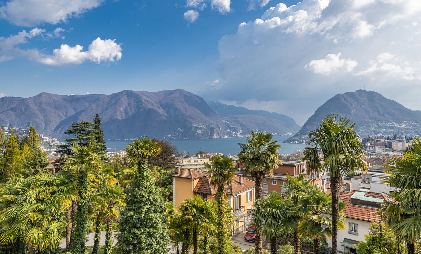 Apartment CH-6900 Massagno, PRACCIO