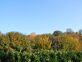 Charmant appartement en rez de jardin