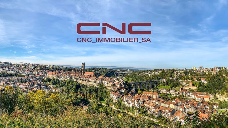 (c) Cnc-immobilier.ch