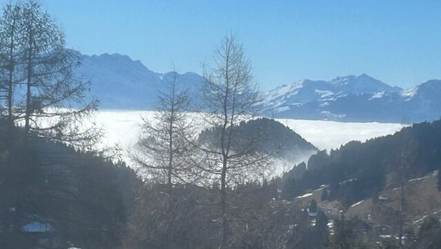 Enfin il y a un petit appartement meublé aux Mosses à un prix sympa !