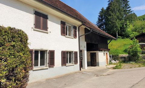 Farm of 2 apartments with a rural part