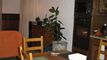 Chalet avec 3 appartements dans le Val d'Anniviers - 10579