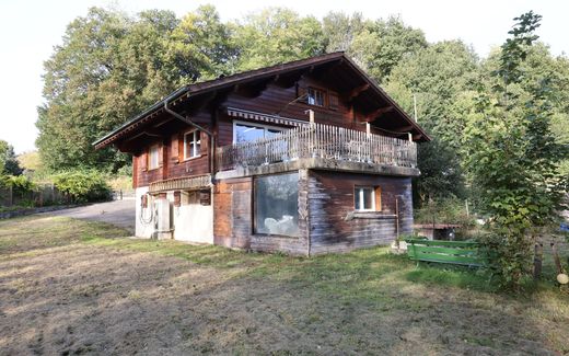 Charming chalet with large lot.